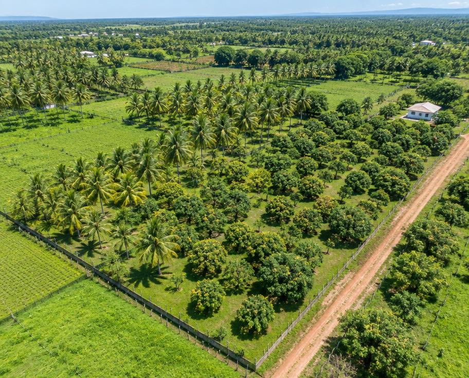 Farm Land